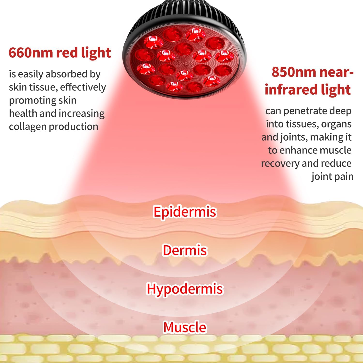 OmyGuard Portable Infrared Red Light Therapy Lamp