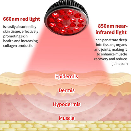 OmyGuard Portable Infrared Red Light Therapy Lamp