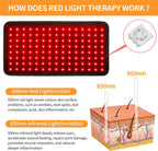 OmyGuard™  Infrared Red Light Therapy Wrap Belt