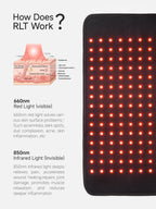 OmyGuard  Infrared Red Light Therapy Wrap Belt