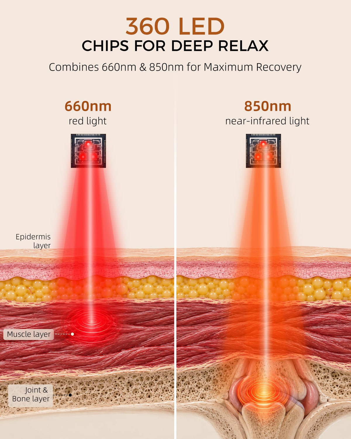 Cordless Red Light Therapy Belt for Waist