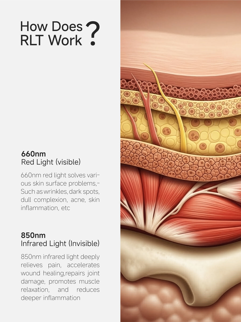 OmyGuard  Infrared Red Light Therapy Wrap Belt