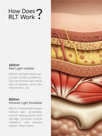 OmyGuard  Infrared Red Light Therapy Wrap Belt