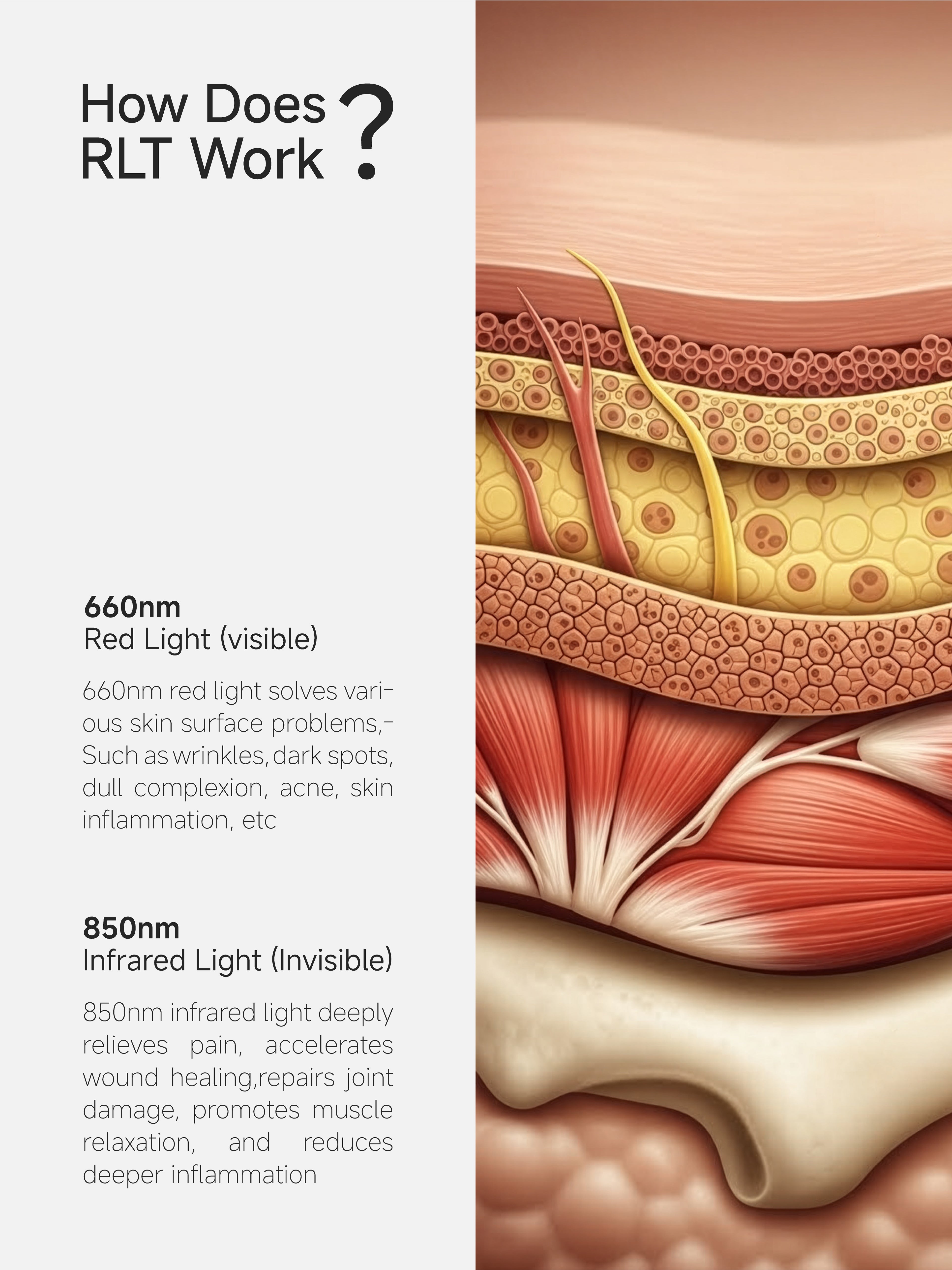 OmyGuard  Infrared Red Light Therapy Wrap Belt