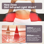 OmyGuard Infrared Red Light Therapy Belt
