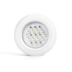 OmyGuard™ Red Light Therapy Dot